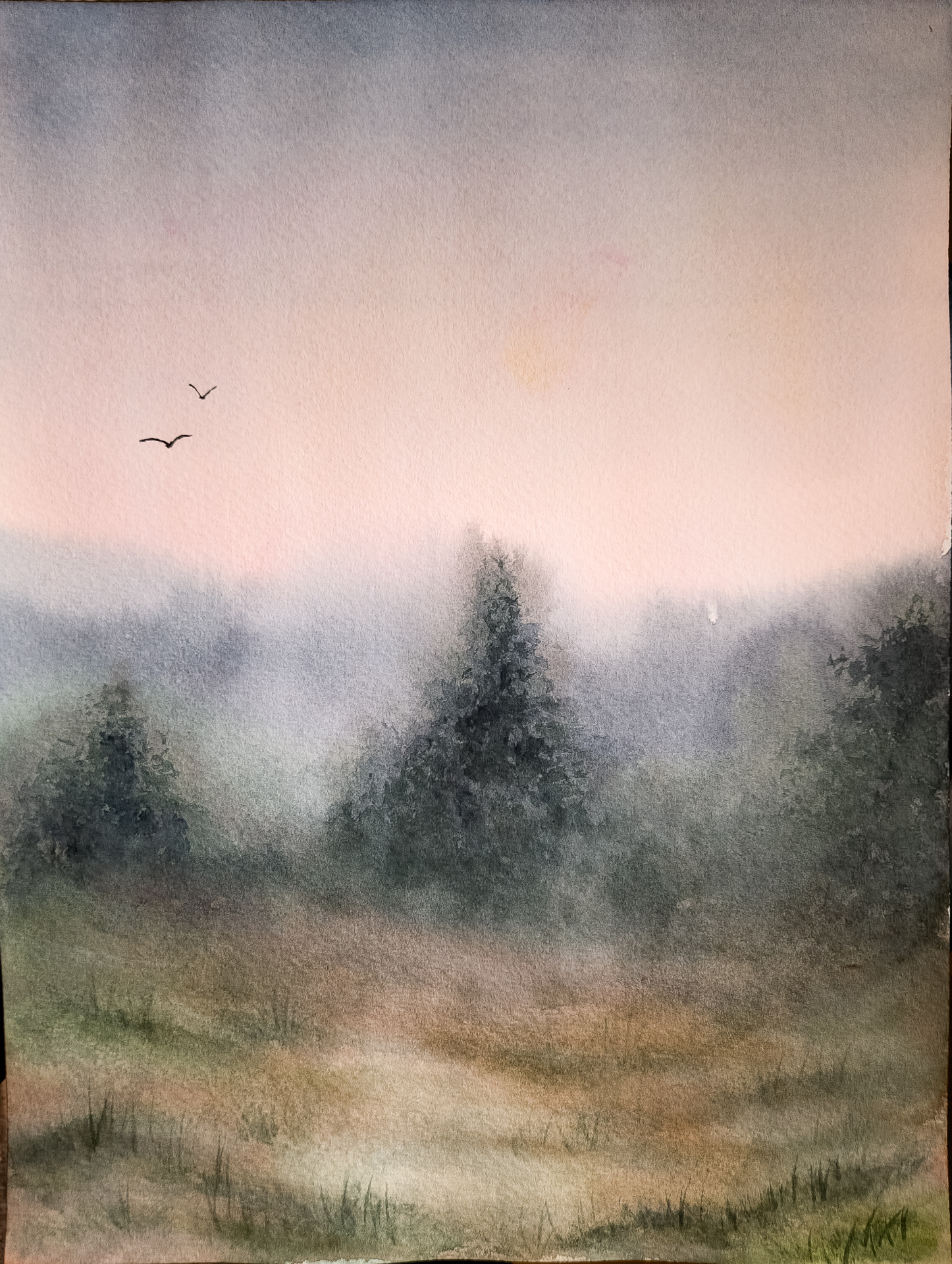 Morgonrodnad